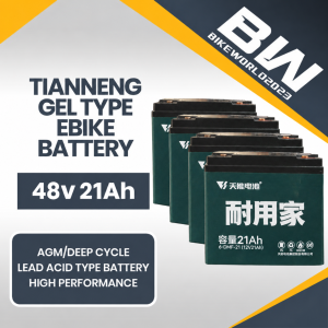 Bestseller Tianneng E-Bike Battery 48V 25Ah 1 Set Deep Cycle Lead Acid Battery for Ebike & Etrike