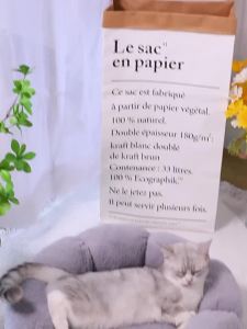 Floral Cat Bed Dog Bed Four Seasons Universal Teddy Enclosed Cat Nest WarmSupplies