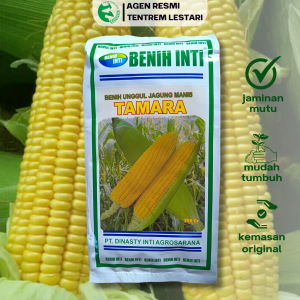 Benih Jagung Manis TAMARA 250 gram Asli cap Benih Inti