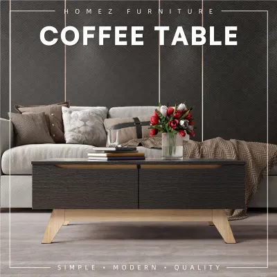 KitchenZ ANCHOR Series Coffee Table with 2 Drawers and Back Storage - A1394-NO+BK