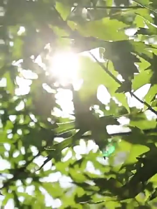 Quạt cầm tay với thời gian chạy 5000mAh 46 giờ Quạt bỏ túi Quạt cá nhân gấp có thể sạc qua USB 3 tốc độ