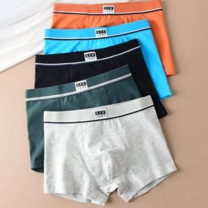 New Children High Quality Solid Boys Cotton Boxer Shorts Panties Kids Underwear for 2-20 Years Old Teenager 5pcs/3pc/lot Student2026