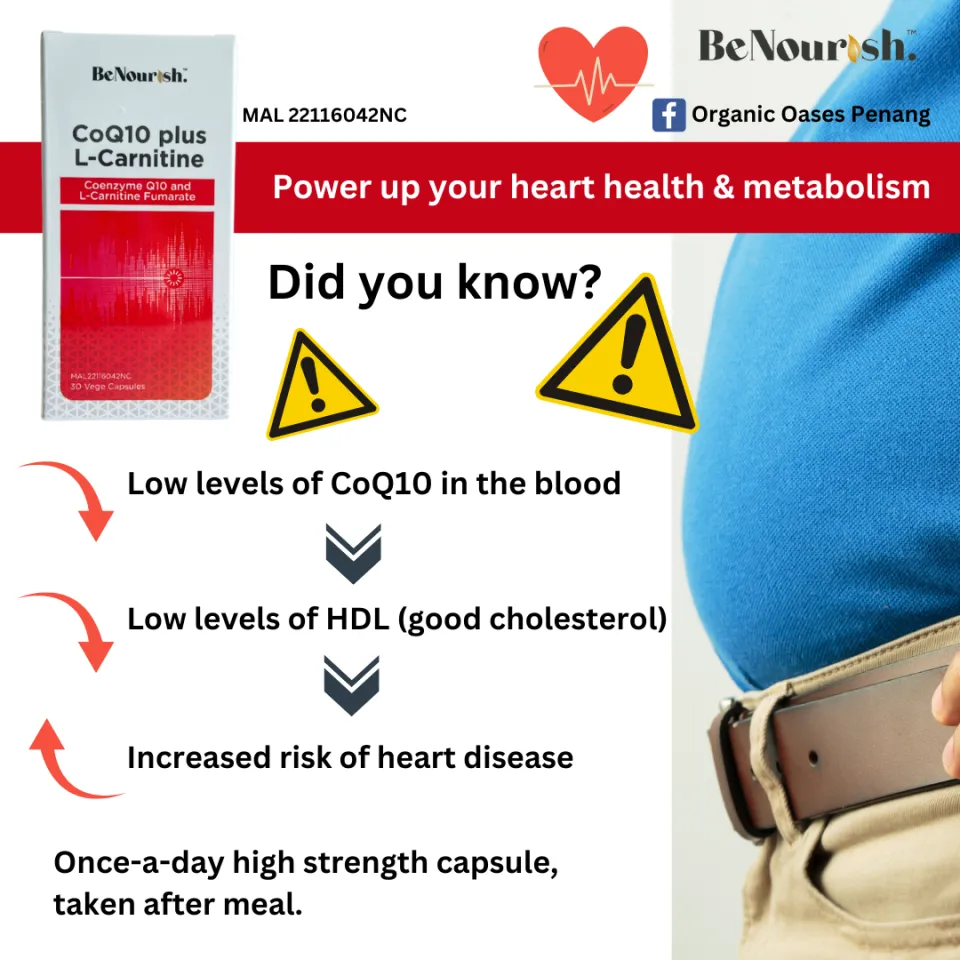 l carnitine pronounce BeNourish CoQ10 Plus L-Carnitine 30 vegetables capsules x 520mg | Heart  Health, Fat Metabolism, Energy Production, Fatigue