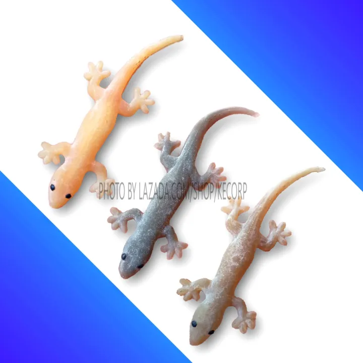 The Realistic Butiki Prank That Works on Everyone Including Butiki-Tolerant People