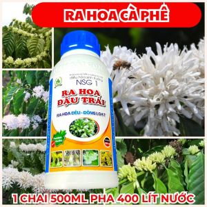 Phân Bón Lá NSG 1 Cho Cà Phê – Giúp Hoa Ra Đều Trái Phát Triển Đồng Loạt Năng Suất Tốt