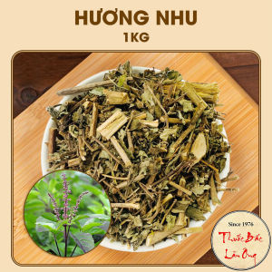 Hương nhu khô 1kg lá hương nhu tía thơm sạch gội đầu xông hơi giải cảm xông nhà khử khuẩn
