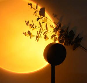 Lampu Sunset Sunrise Rainbow 4 Mode Projector Light Ring Light Video Photo Tiktok Vlog Youtube Instagram Reels