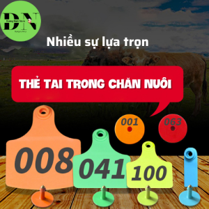 Thẻ tai bò dê đủ kích cỡ màu sắc có thể lựa trọn