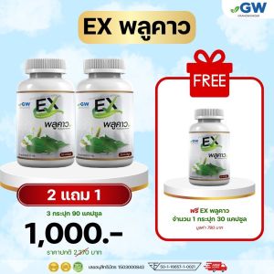 2 แถม 1 EXพลูคาว สมุนไพร พลูคาวสกัด พลูคาวสกัดสูตรเข้EXพมข้น ต้านเชื้อไวรัส ต่อต้านการอักเสบ เสริมสร้างภูมิคุ้มกัน 30 แคปซูล