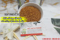 Hạt Methi Ấn Độ 500G Loại Cao Cấp - Đông Y Thanh Bình. 