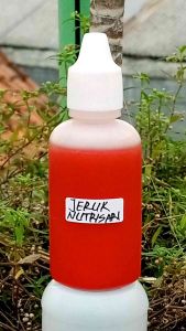 ESEN JERUK NUTRISARI OPLOSAN SIAP PAKAI GALATAMA GALAPUNG