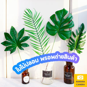ใบไม้ ใบไม้ประกอบฉากถ่ายรูป แต่งฉาก ถ่ายรูป พรอพ พร้อบ ประกอบ ฉาก DIY