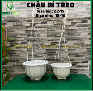Chậu bí treo chậu bí nhiều màu kèm dây treo chậu trồng hoa chậu treo cây cảnh