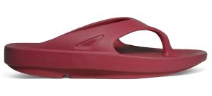 รองเท้า TEERA แบบหนีบ Fashion เพื่อสุขภาพ ปีนเขา น้ำตก ทะเล น้ำหนักเบา รองเท้าสำหรับผู้ที่ยืนเดินนาน รองเท้าแฟชั่น  สำหรับผู้มีปัญหาเท้าแบน