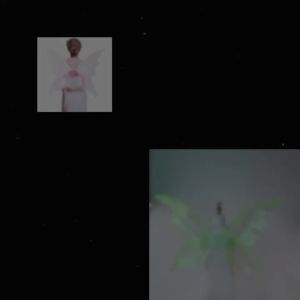 Elf Flower Fairy Wings Butterfly Wings Winx Club cos Flora Bride Photo Props