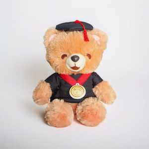 Boneka Wisuda Beruang Teddy Bear Istana Boneka STD Boney Bonita Pink Peach Tan