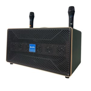 Loa xách tay Bluetooth chính hãng AZPROAZ-589A 2 Bass 20-9 đường tiếng thùng gỗ bọc daMạch 12 núm chỉnh