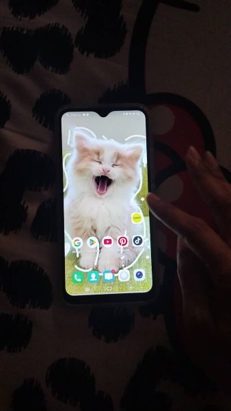 Buyer review video 3