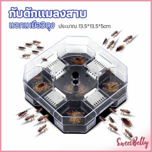 Sweet Belly ที่ดักแมลงสาบ ที่ดักแมลงสาบ กล่องดักแมลงสาบ cockroach trap