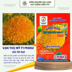 Gói 50 Hạt Vạn Thọ Pháp Cao F1 PH002 – Cam Đỏ Cao 70–90cm