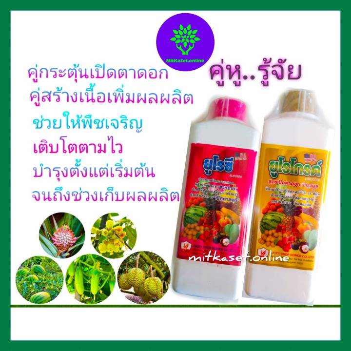 ชุดเปิดตาดอกทุเรียน ยูโรซี ยูโรโกรด์