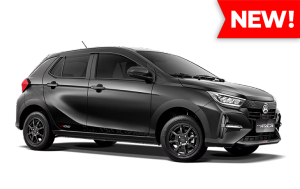 1G3 Cat Oles Penghilang Baret Lecet Mobil Daihatsu Xenia Ayla Sigra Rocky Luxio Abu Dark Grey Metalik