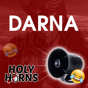 DARNA Backhorn | Breakhorn 12v-24v (for all vehicles)