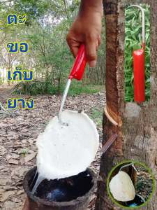 ตะขอ ตะขอเก็บยาง เหล็กทั้งด้าม (รุ่นใหม่) รุ่นมีรู ที่เก็บขี้ยางยางก้อนสำหรับห้อยเอว แข็งแรง ทนทาน ทำงานดี ใช้งานง่าย