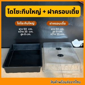 ชุดเพาะเมล็ด เซ็ตถาดไดโซะ ถาดทึบ ถาดรู ชุดเพาะชำ ฝาครอบ ถูกที่สุด