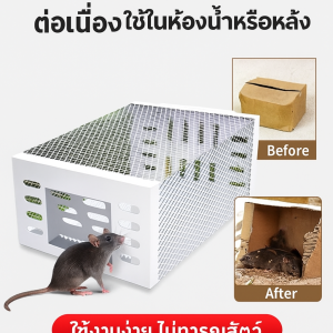 ฆ่าหนู เวลาและแรง สแตนเลส แมงมุม เป็นมิตรกับสิ่งแวดล้อม มีประสิทธิภาพ ดักจับหนูอย่างต่อเนื่อง