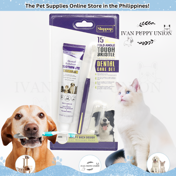 Pet Toothpaste and Toothbrush Set Pet Supplies Cat Dog Mouth Gentle  Cleaning Care