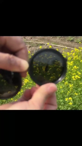 Tròn Kính mát phân cực có thể điều chỉnh câu cá ngoài trời Kính Trọng lượng nhẹ bãi biển Eyewear cho câu cá đi xe đạp ngoài trời