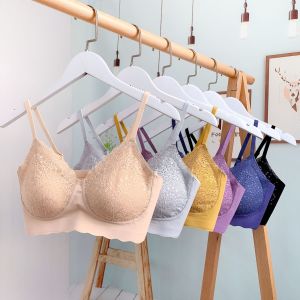 เสื้อชั้นในแฟชั่น บราถนอมทรง บรายางพาราไร้โครง ไร้ตะเข็บ เนื้อเนียน นุ่มลื่น ใส่สบาย Lingerie Feel Free