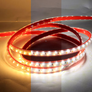 RGB ไฟสามสี LED Led Light Strip Three-color 220V Waterproof เปลี่ยนสีได้ ไฟเส้นเปลี่ยนได้ 3 สี คุณภาพสูง สว่างมาก