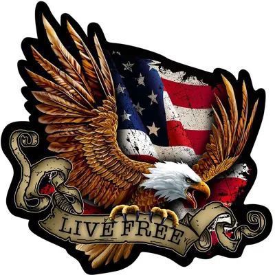 Funny Cờ Mỹ Bald Eagle Live Nhãn Dán Xe Ô Tô Xe Máy Phụ Kiện Ngoại Thất Đề Can Nhựa Vinyl