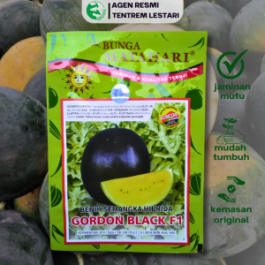 Benih Semangka Kuning GORDON BLACK F1 200 Biji Cap Bunga Matahari Berat Bisa 10 kg