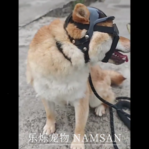 Vật nuôi thoáng khí dụng cụ an toàn kính mũ bảo hiểm thiết lập với mặt trời bảo vệ cho những người đam mê thể thao giống nhỏ đi bộ đường dài headwears