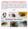 100% kill bed bugs  Bed bugs killer spray Bedbug surot killer spray insects killer spray Colorless and odorless Suitable for pregnant women and children Surot killer spray Bedbugs Goodbye Spray. 