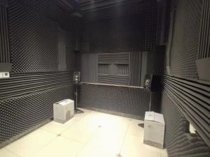 BEIYIN Groove Ceiling Soundproof Panels for Wall 12" X 12" X 2" Inch Acoustic Foam Noise Deadening Sound Absorption Panels Studio Sound Insulation Diffuser Sponge Board Fireproof