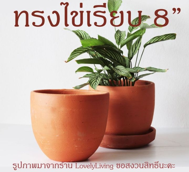 กระถางดินเผาปทุม ทรงไข่เรียบ 8 นิ้ว พร้อมจานรอง