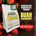 Pupuk Booster Stoberi / Obat Booster Buah Strawberry / Pupuk Booster Strawberry / Pupuk Strawberry. 