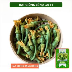 Hạt giống Bí Nụ Lai F1 GITA 33 Túi 5 hạt Giống bí siêu nụ | Hạt giống Rạng Đông