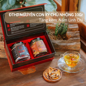Đông Trùng Hạ Thảo Nguyên Con Ký Chủ Nhộng Tằm CordyHappy - Hộp 10g