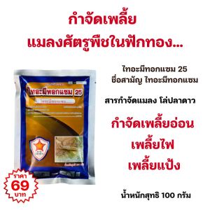 กำจัดแมลงศัตรูพืช ในต้นฟักทอง เพลี้ยอ่อน เพลี้ยไฟ เพลี้ยแป้ง ด้วยสารกำจัดแมลงโล่ปลาดาว ไทอะมีทอกแซม