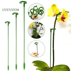 10pcs Flower Supports Plant Bracket Succulent Rod Fixed Anti-lodging Leaf Guard Flowers Holder