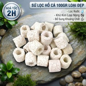 Vật Liệu Lọc Nước Sứ Lỗ 100gr - Tăng Vi Sinh Khử Mùi Hồ Cá Hiệu Quả