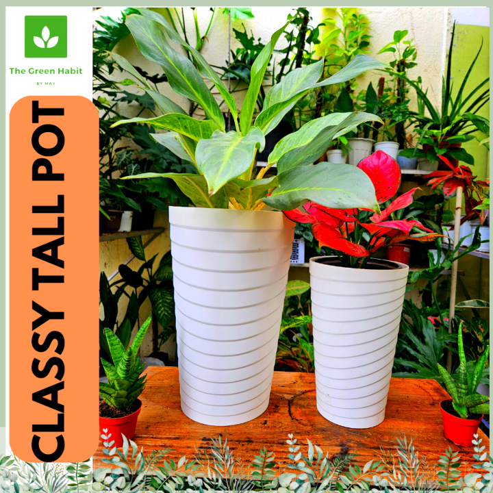 Elegant White Yayamanin Pots for Minimalist Classy Tall Slim Pots for