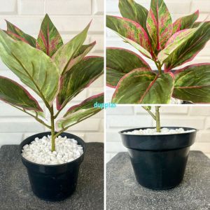 Tanaman Artificial Pohon Plastik Aglonema Lipstik Hijau & Pink Latex Pot Dasar Hitam Dekorasi Meja Pajangan Rumah Aesthetic