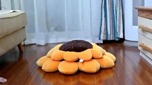 Sunflower Plush Pillow Cushion Soft Stuffed Toy Decorative Throw Living Room Sofa Office Chair Gift