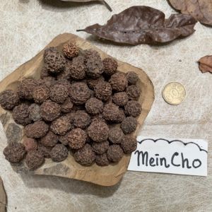 (100gr/200biji) Kolase Biji Genitri Ginitri Jenitri Jinitri Kecipir Botor Bidara Dekorasi Rustik